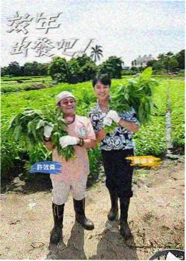 影片音乐运用解析配图